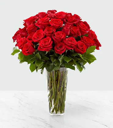 A Stunning Arrangement of Two Dozen Red Roses