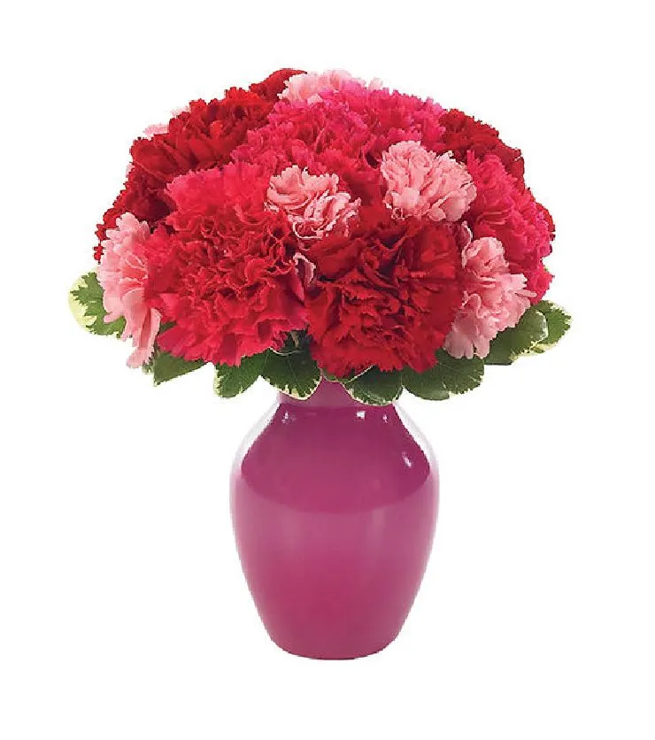 Contemporary Carnations Bud Vase