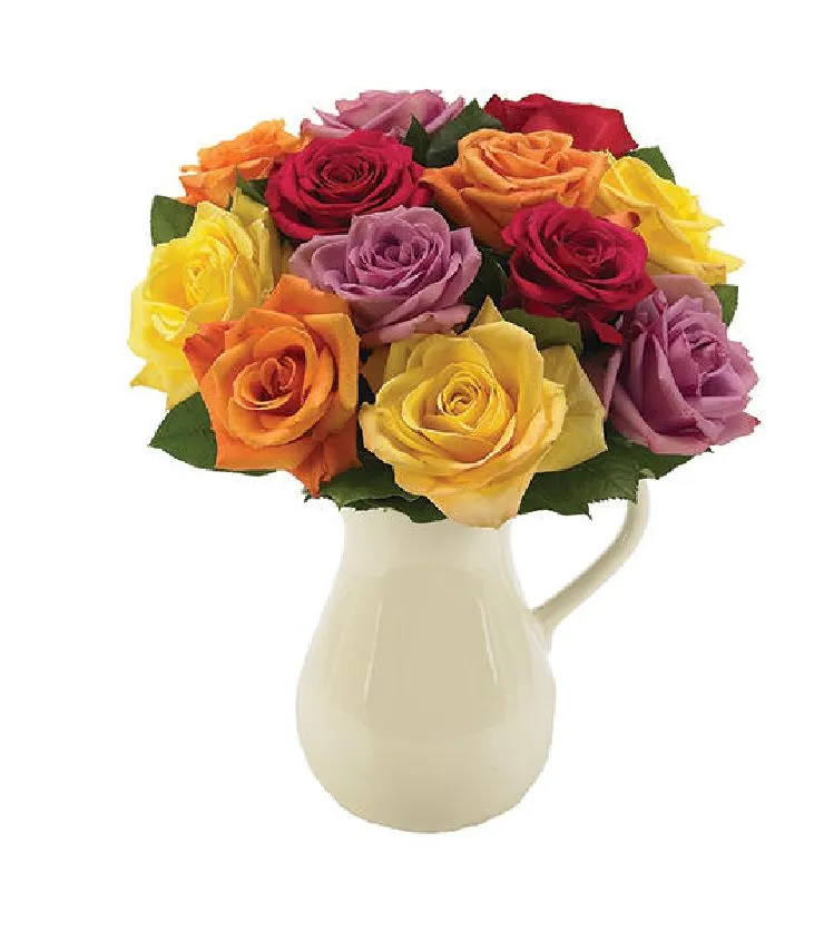 Classic Multi-colored Roses in a Pitcher