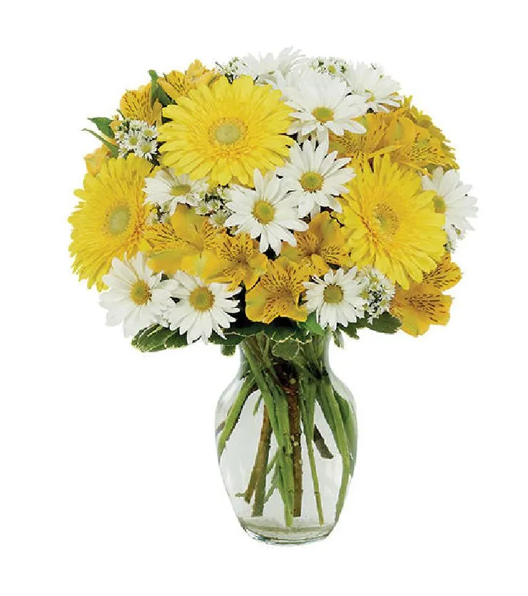 DAISY A DAY BOUQUET