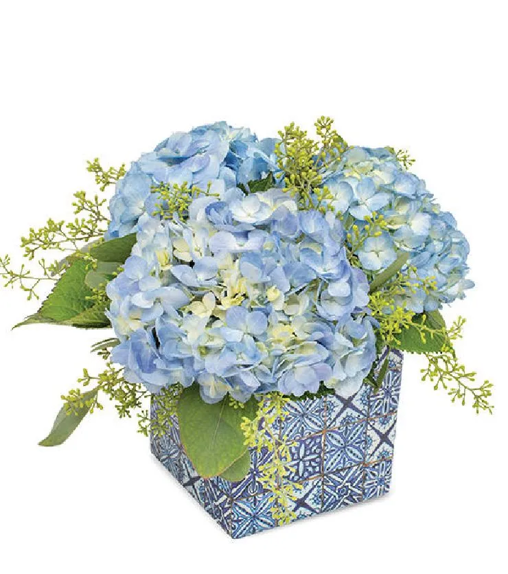 Brilliant in Blue Planter